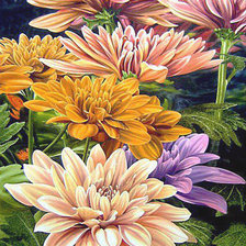 Схема вышивки «Желтые хризантемы»