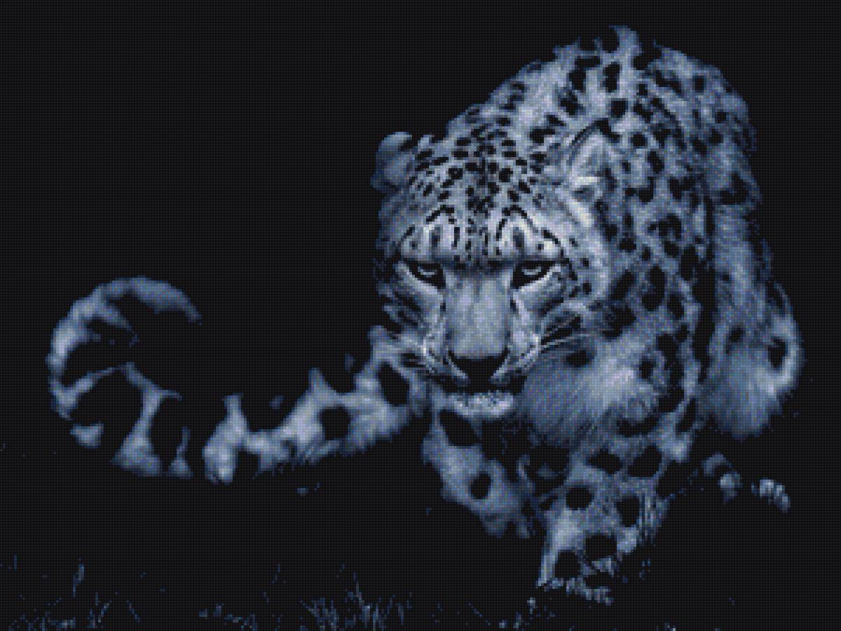 барс - охотник., ночь - предпросмотр