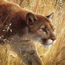 Схема вышивки «Пума»