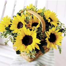 Схема вышивки «Подсолнухи»