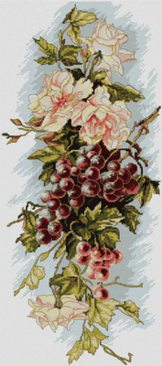 Виноград - виноград, фрукты - предпросмотр