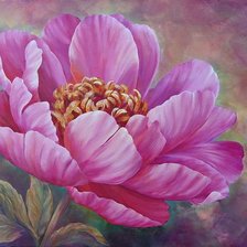 Схема вышивки «pivonia»