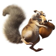 Схема вышивки «белка и орех»