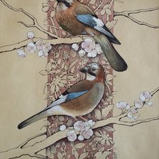 Схема вышивки «Сойки»