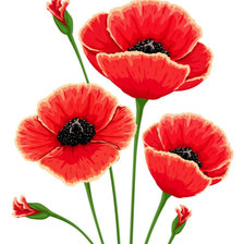 Схема вышивки «Любимые маки»