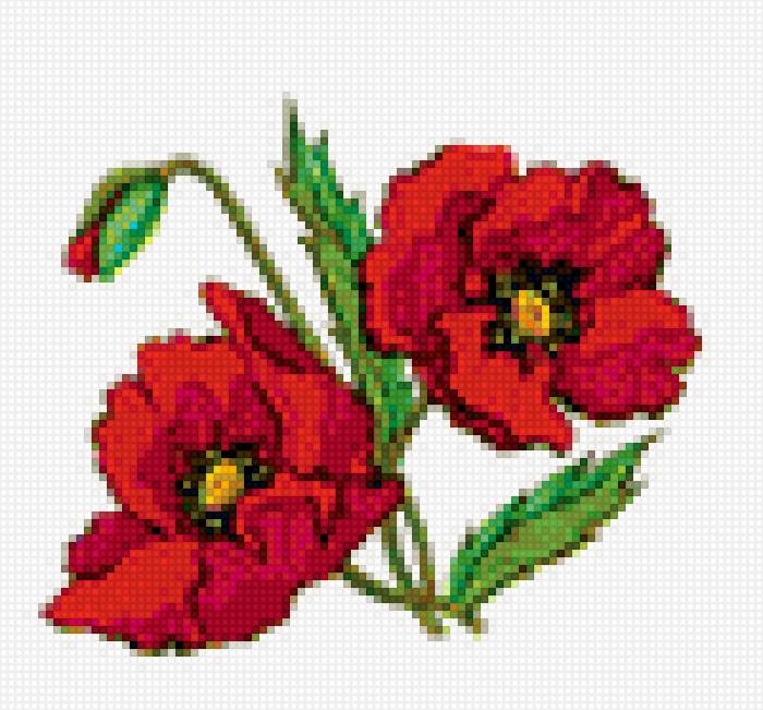 Маки - цветы, красный, лето, зелень, маки, красота, мак - предпросмотр