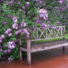 Схема вышивки «Лавочка под сиренью»