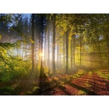 Схема вышивки «РАССВЕТ»