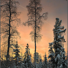 Схема вышивки «зима»