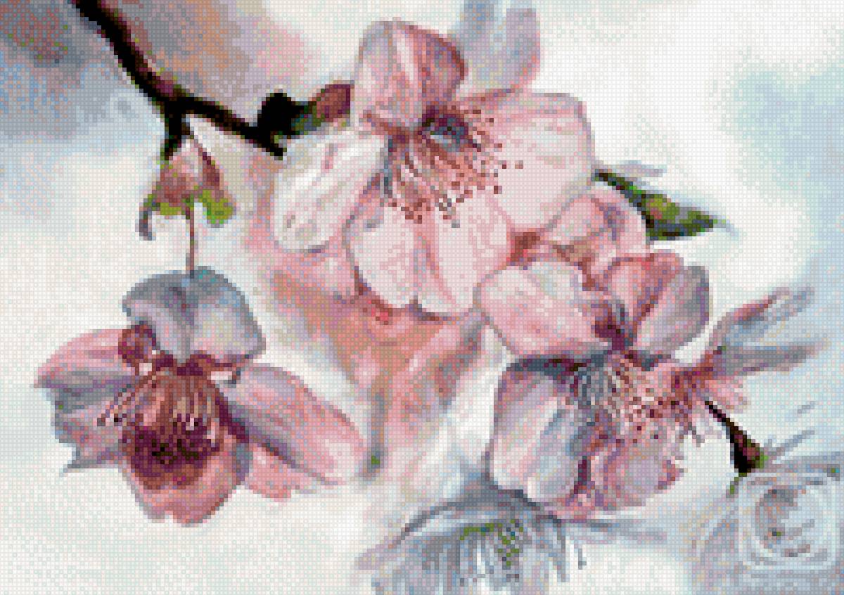 сакурочка - сакура цветы яблоня - предпросмотр