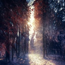 Схема вышивки «Зимний лес»