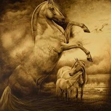 Схема вышивки «inma1»