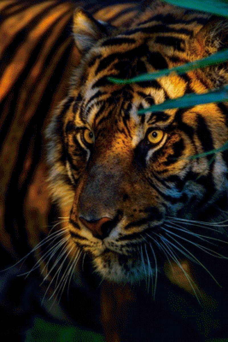 Тигр - животные, пейзаж - предпросмотр