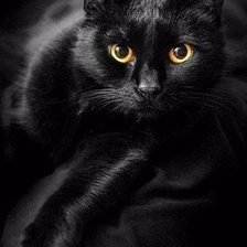 Схема вышивки «кот»