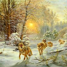 волки в зимнем лесу