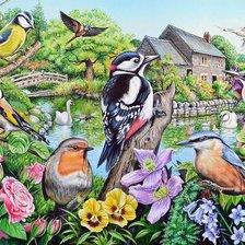 Схема вышивки «птицы»