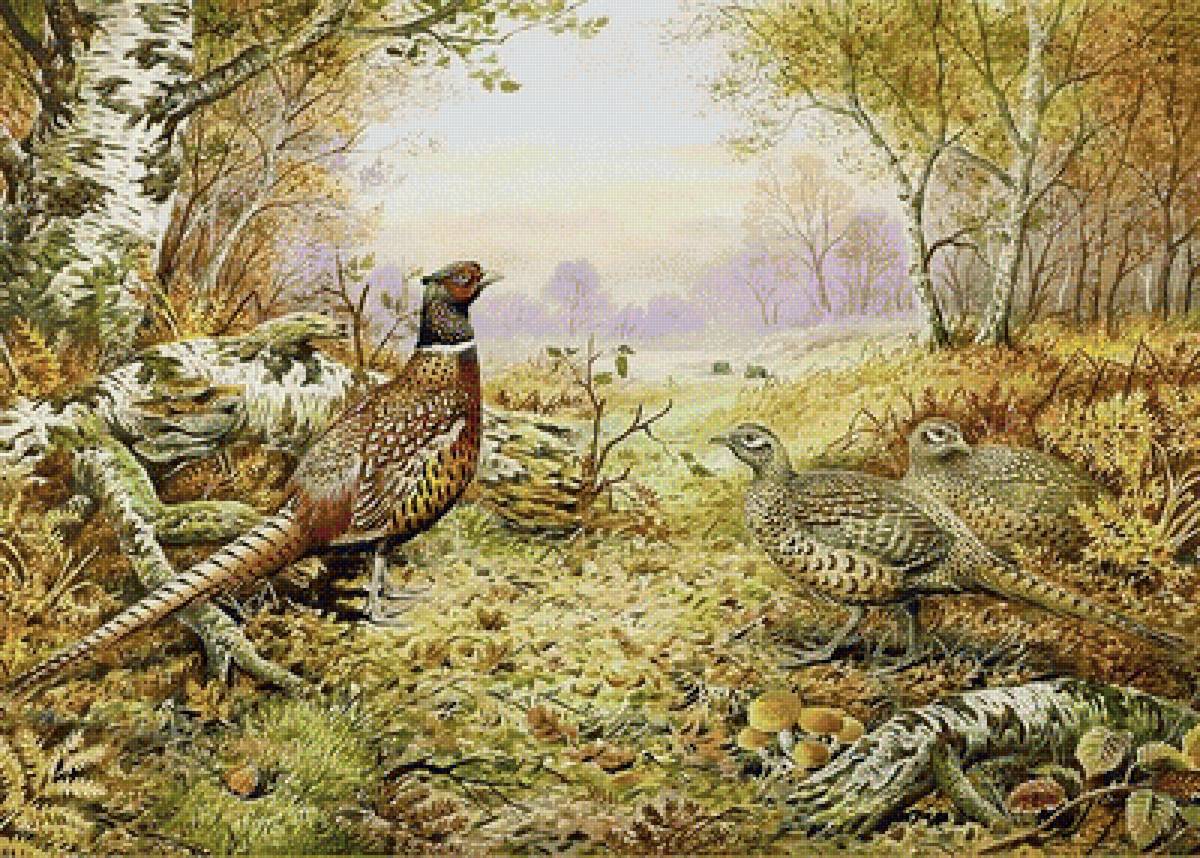 птицы - предпросмотр