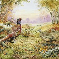 Схема вышивки «птицы»