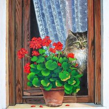 Схема вышивки «okno,muškát,mačka»