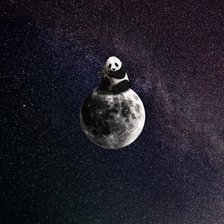 Схема вышивки «Панда в космосе»