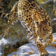 Схема вышивки «Ягуар»