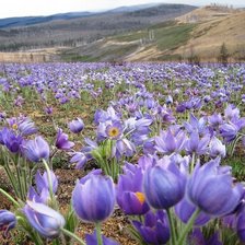 Схема вышивки «сон-трава у подножия гор»