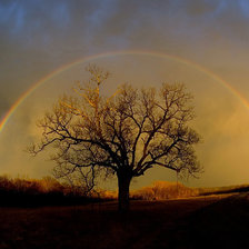 Схема вышивки «№1380553»