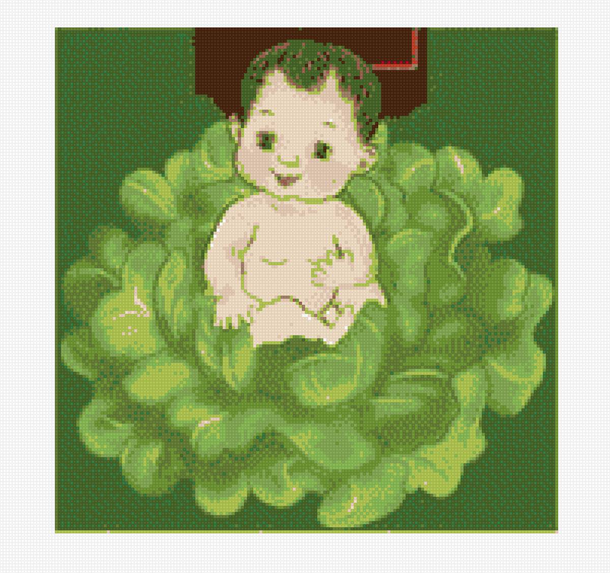 мальчик в капусте - предпросмотр