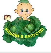 Схема вышивки «нашли в капусте»