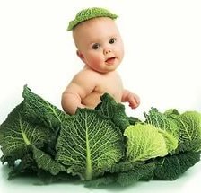 Схема вышивки «дитя в капусте»