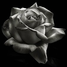 Схема вышивки «№1380842»