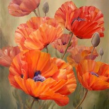 Схема вышивки «Маки»