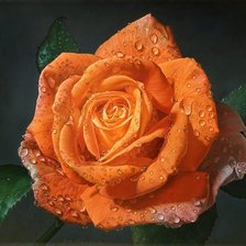 Схема вышивки «Роза»