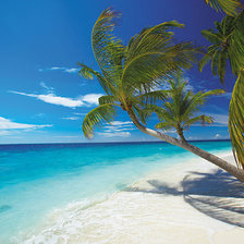 Схема вышивки «Пейзаж»