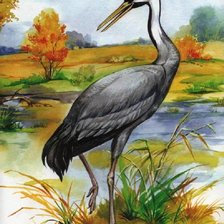 Схема вышивки «птица болотная»