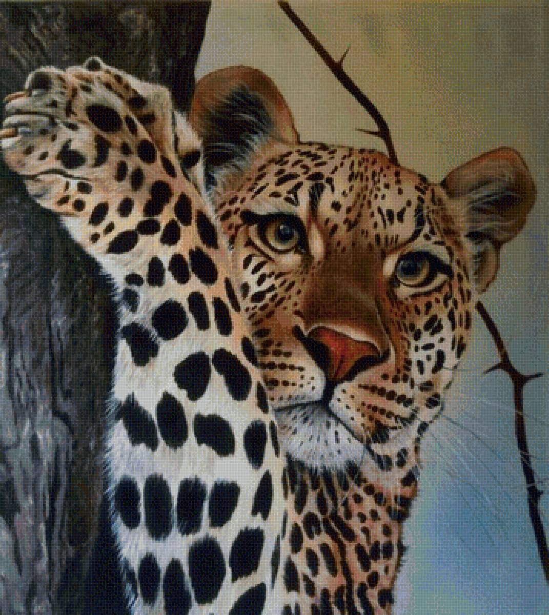 мир животных - предпросмотр