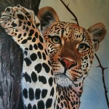 мир животных