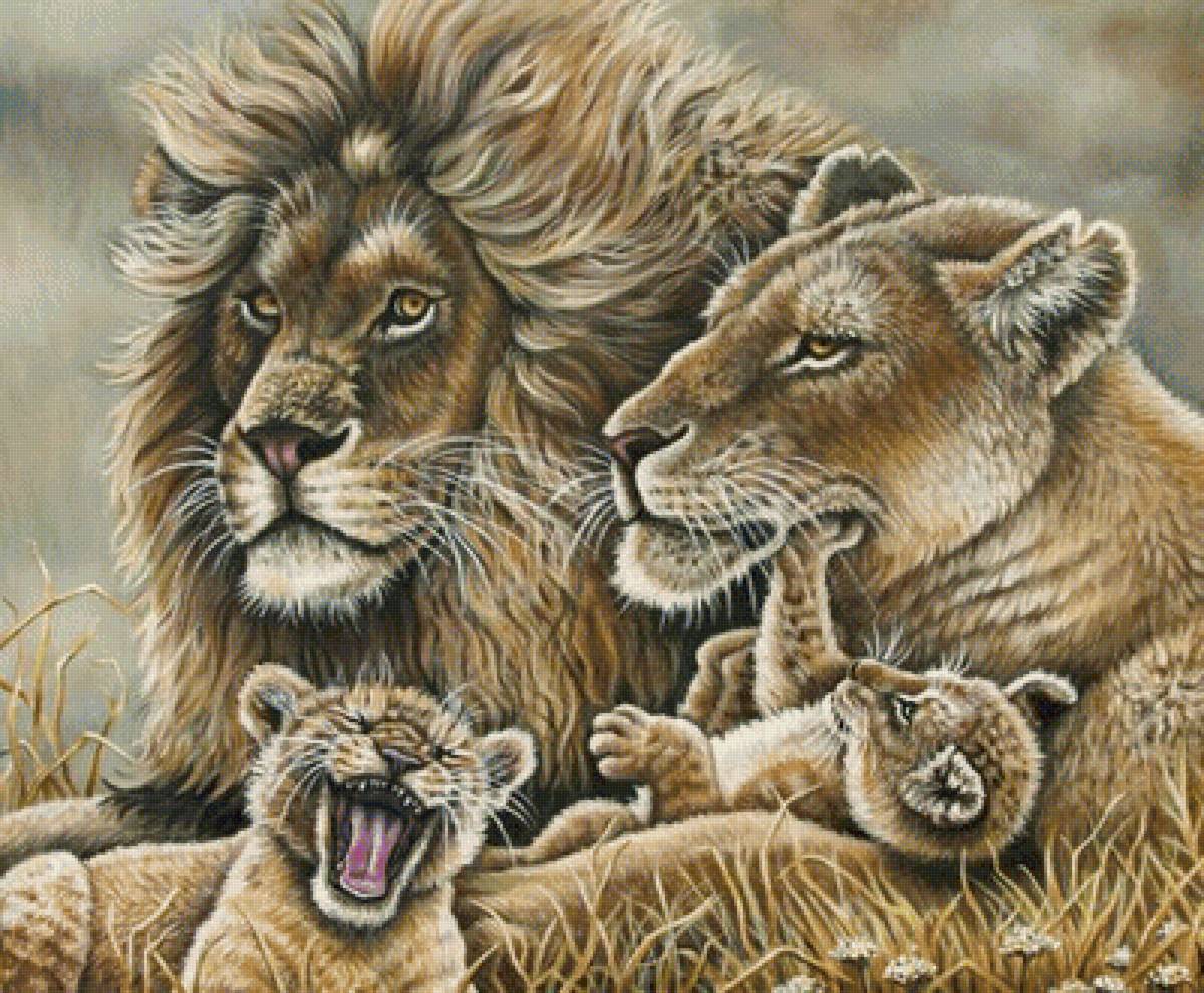 мир животных - предпросмотр