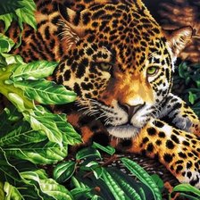 мир животных