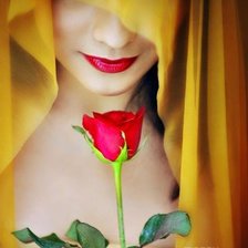 Схема вышивки «Леди с розой»