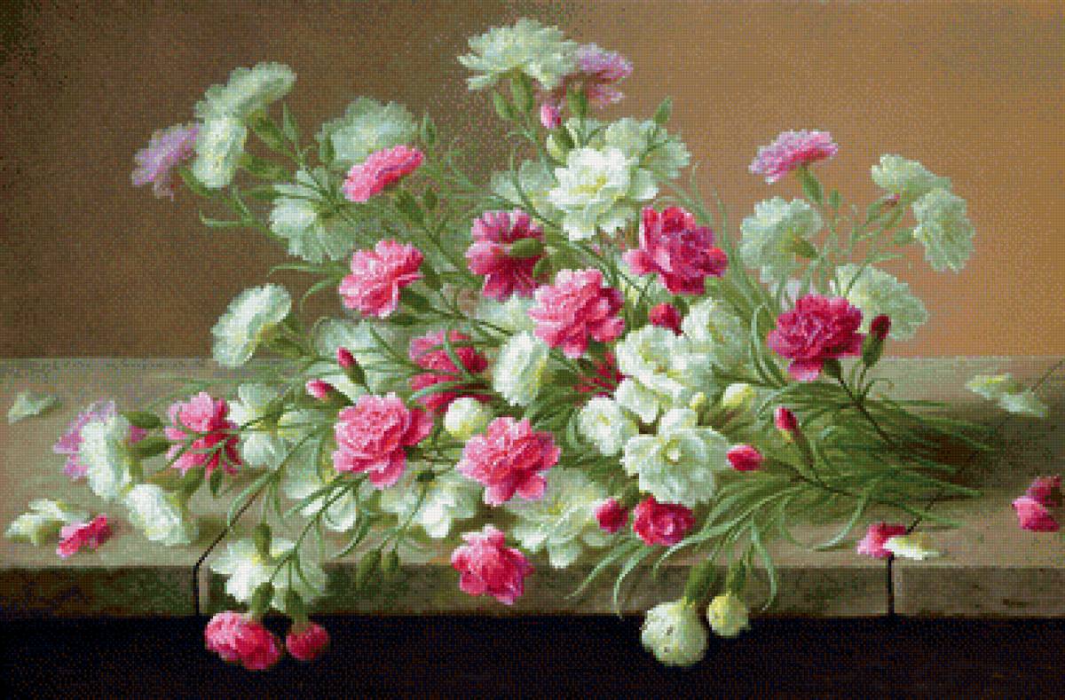 Гвоздики - гвоздики, цветы - предпросмотр