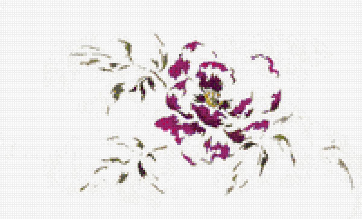 Пионы - мтса, цветы, пионы - предпросмотр