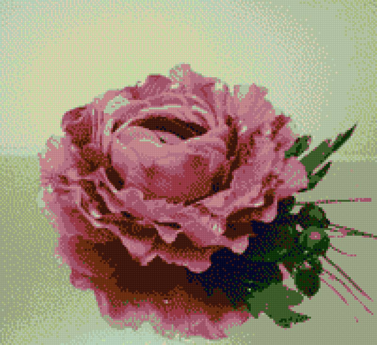 мак - маки, цветы - предпросмотр