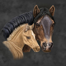 Схема вышивки «№1382164»