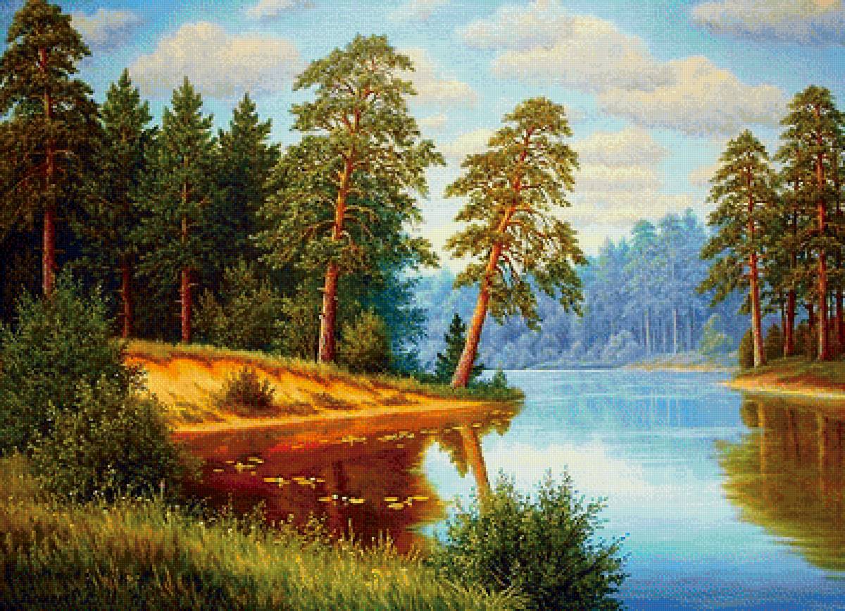 сосны на берегу - лето, природа, пейзаж - предпросмотр