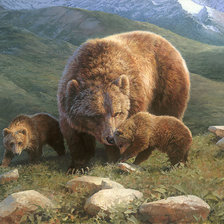 Схема вышивки «№1382595»