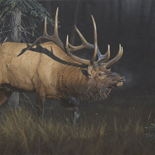 Схема вышивки «№1382597»