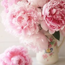 букет пионов