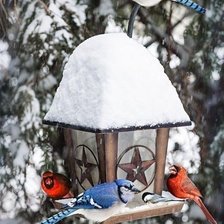 Схема вышивки «№1383017»