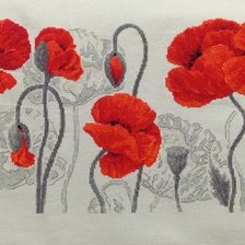 Схема вышивки «маки2»